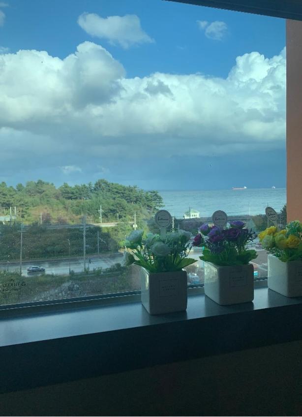 Fine And You Ocean City Donghae Extérieur photo